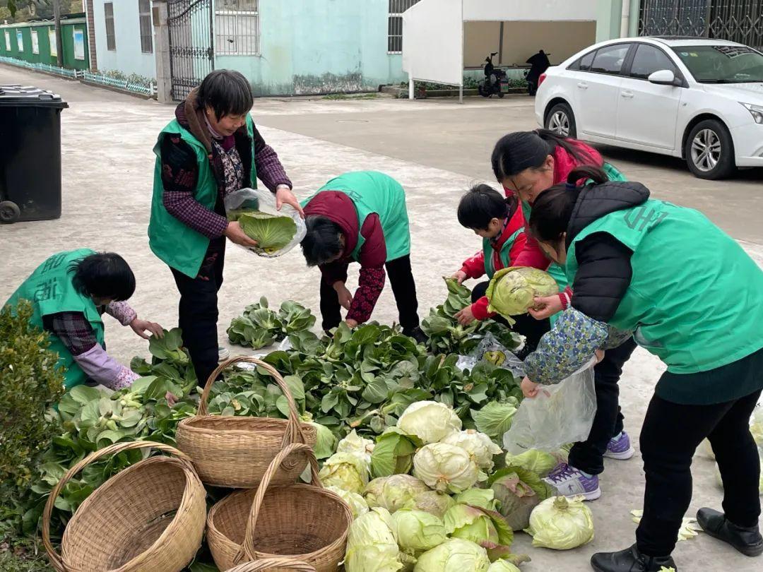 专题榜单 第36页