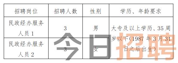 姚安县数据和政务服务局最新招聘信息解读