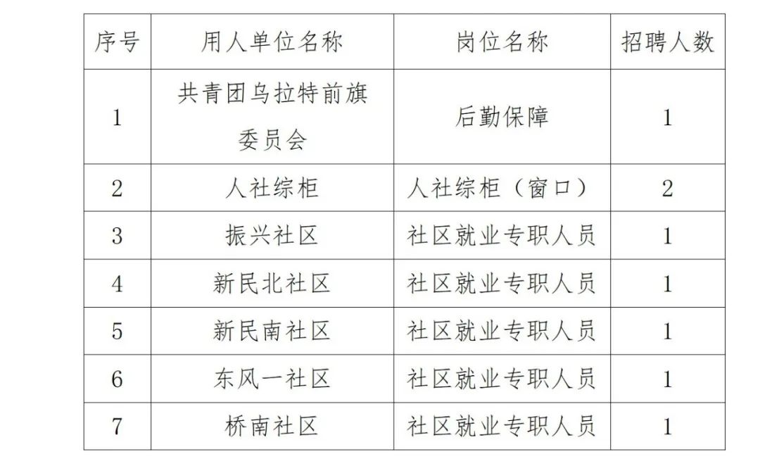 大武口区数据和政务服务局最新招聘信息解读