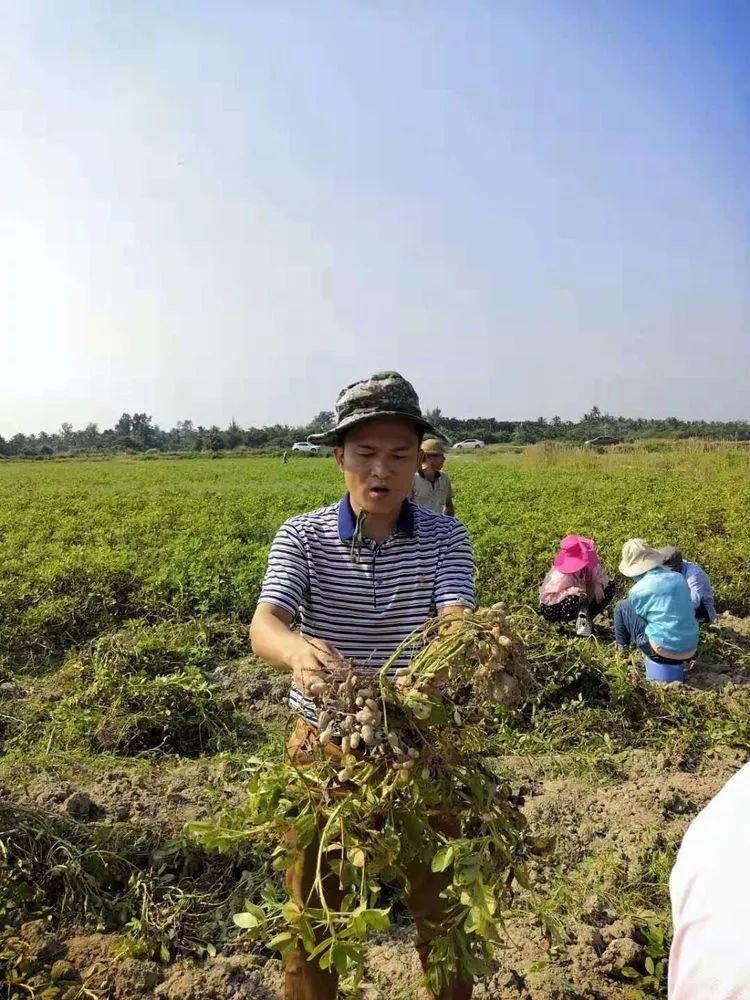 旅行者的足迹   第2页