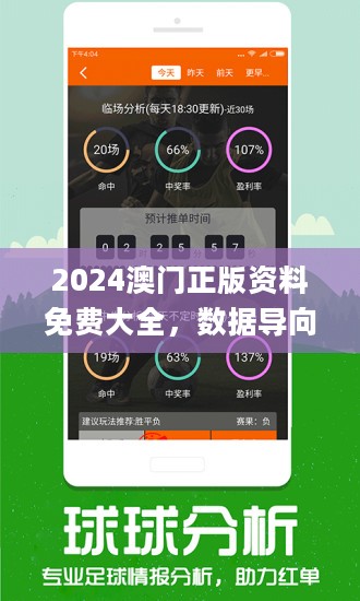 2024澳门正版精准免费_精确评估解答解释方法_观察款14.381