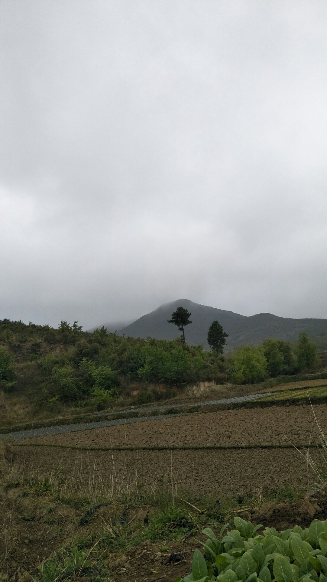 多穷村最新天气预报